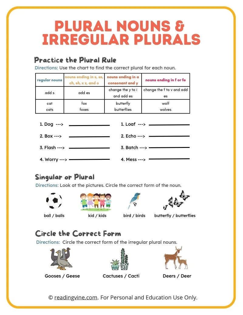 Plural Irregular Plural Nouns Worksheets ReadingVine