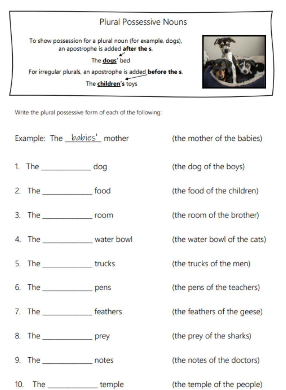 Plural Noun Possessives Worksheet Worksheets Library Plural Noun Possessives Worksheet Worksheets Library