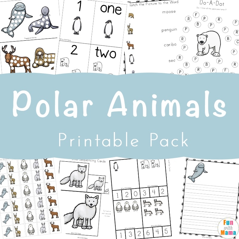 Polar Animals Activities