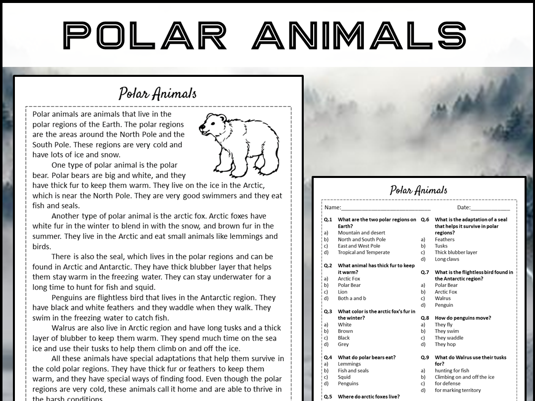 Polar Animals Reading Comprehension Passage And Questions PDF Teaching Resources