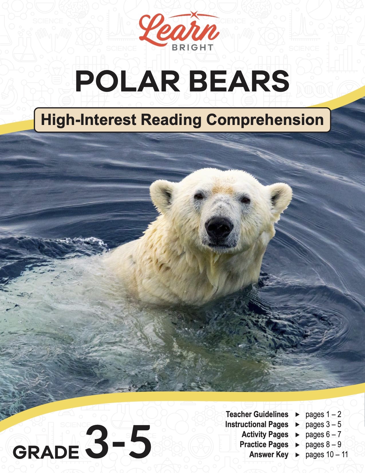 Polar Bear Reading Comprehension Worksheets