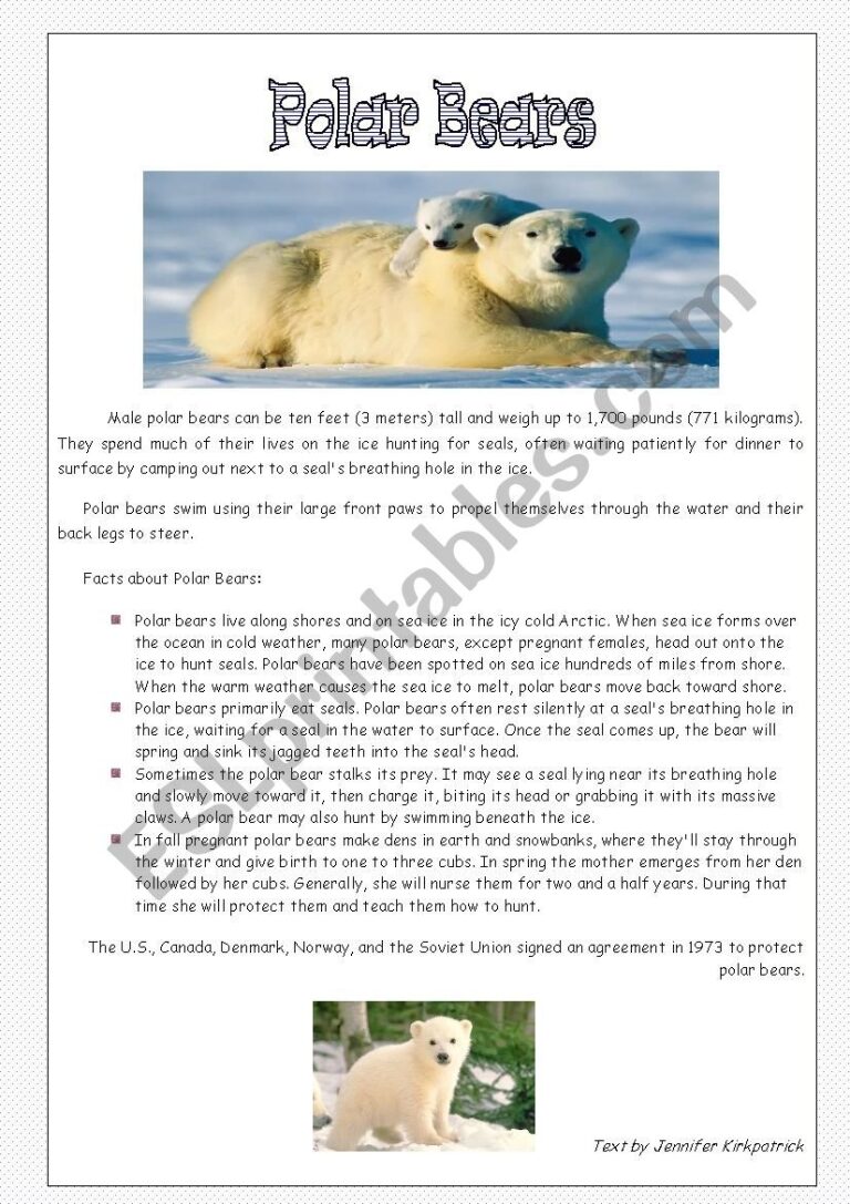 Polar Bears Nice Reading Comprehension ESL Worksheet By Jessisun