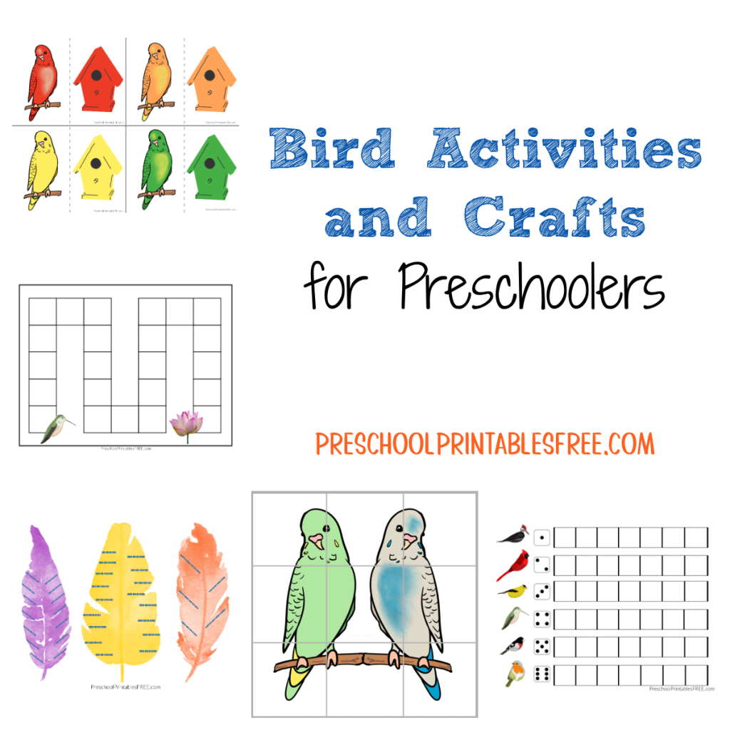 Preschool Bird Games And Activities Free Preschool Printables