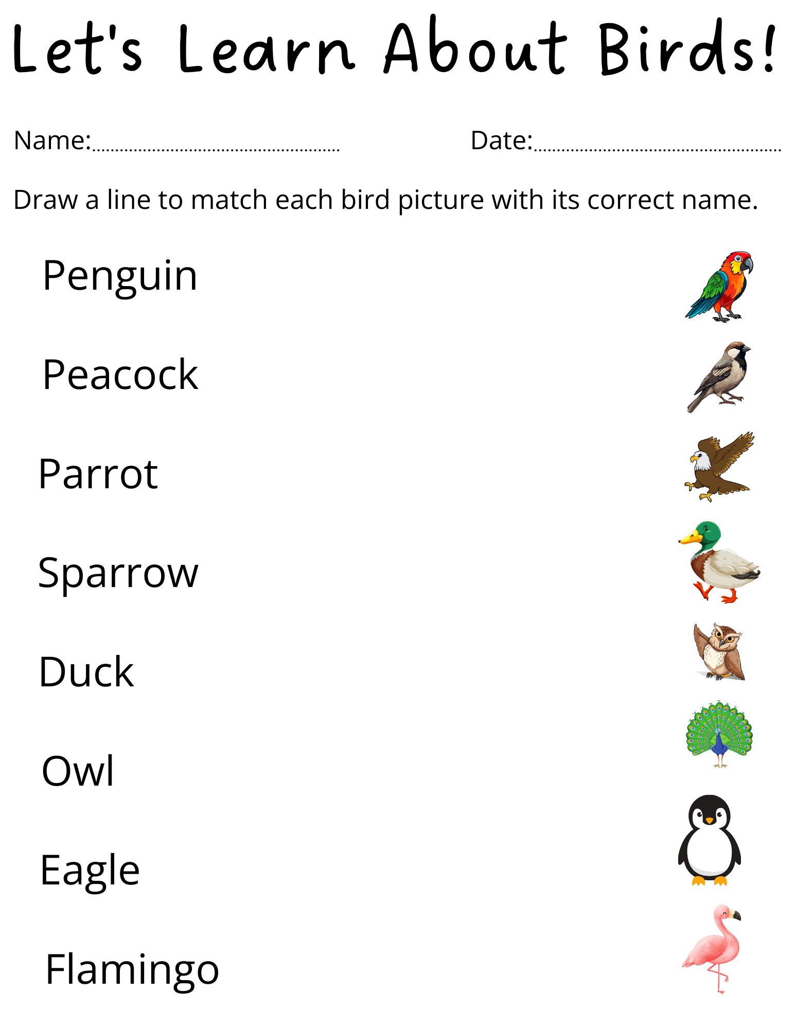 Preschool Birds Name Worksheet For Kindergarten Teaching Resources