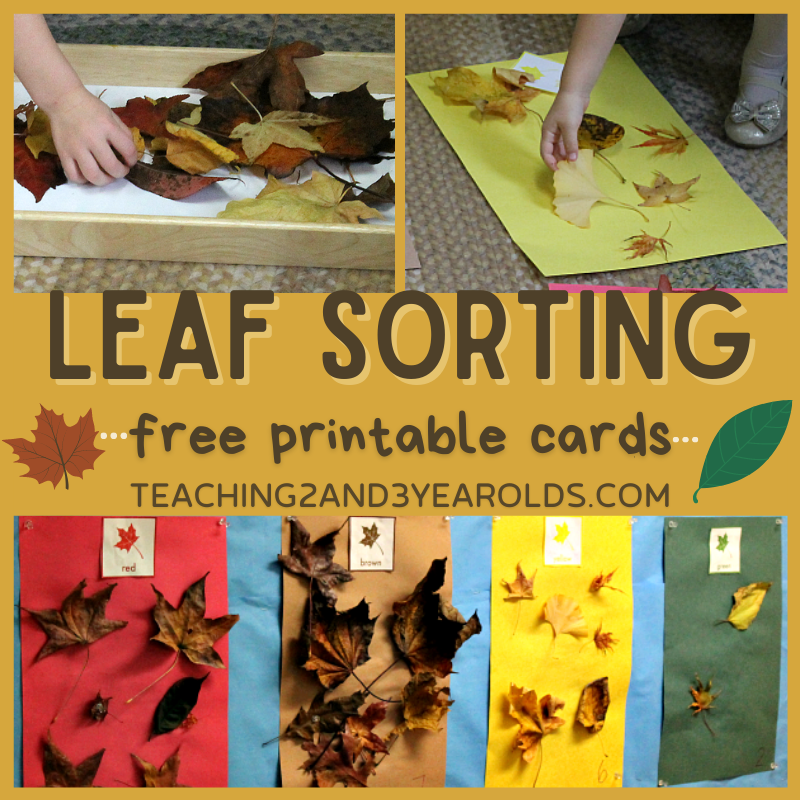 Preschool Leaf Sorting Activity With Free Printable Cards Preschool Leaf Sorting Activity With Free Printable Cards