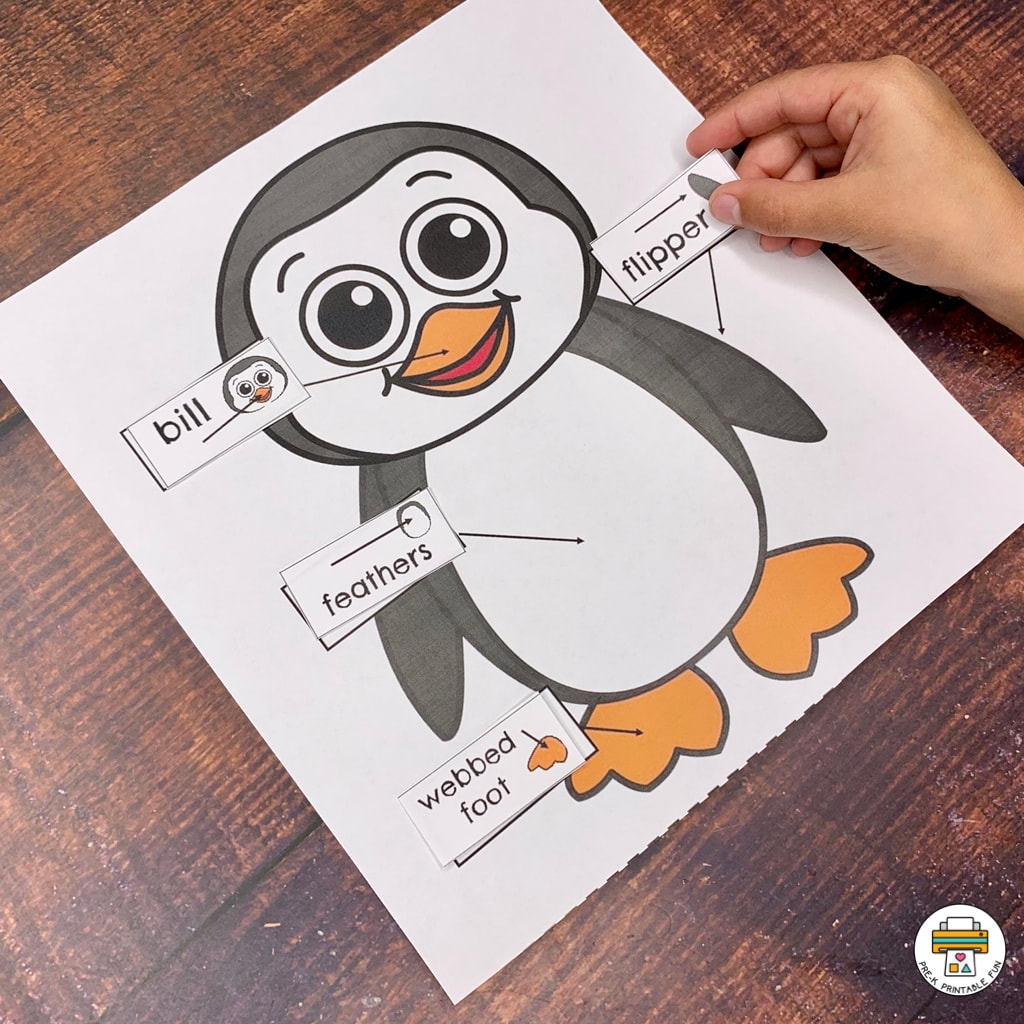 Preschool Penguin Lesson Planning Ideas Pre K Printable Fun Preschool Penguin Lesson Planning Ideas Pre K Printable Fun