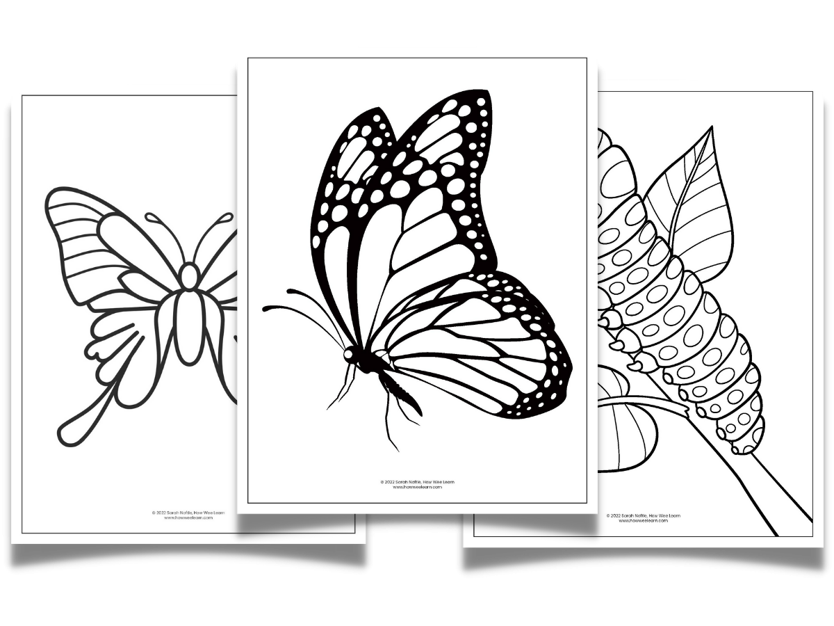 Printable Butterfly Worksheets How Wee Learn Printable Butterfly Worksheets How Wee Learn