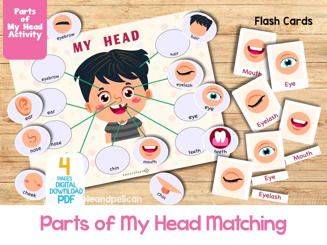 Printable Face Parts Matching Worksheet With Flashcard Body Parts Activity Toddler Activity Busy Book Preschool Montessori Activity Etsy Printable Face Parts Matching Worksheet With Flashcard Body Parts Activity Toddler Activity Busy Book Preschool Montessori Activity Etsy