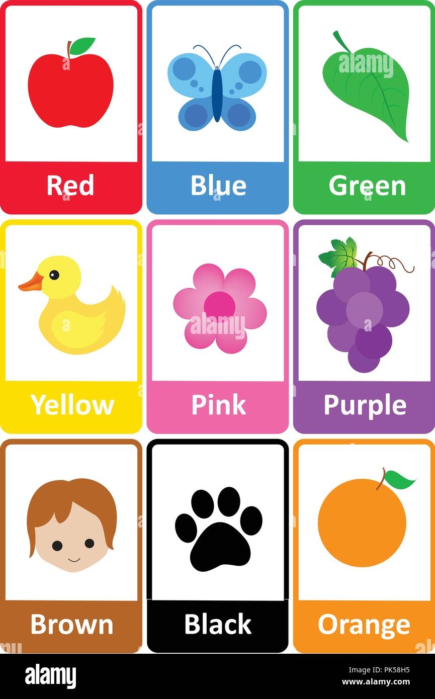 Printable Flash Card Colletion For Colors And Their Names With Colorful Pictures For Preschool Kindergarten Kids Let s Learn Colors Stock Vector Image Art Alamy