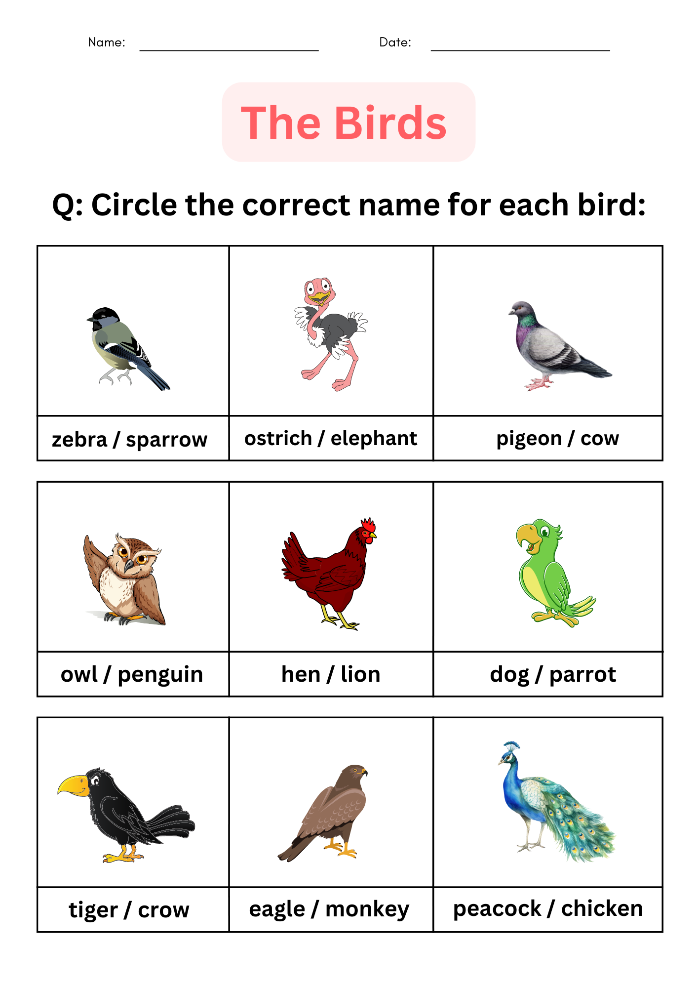 Printable Matching And Identify Birds Worksheet For Kindergarten Printable Matching And Identify Birds Worksheet For Kindergarten