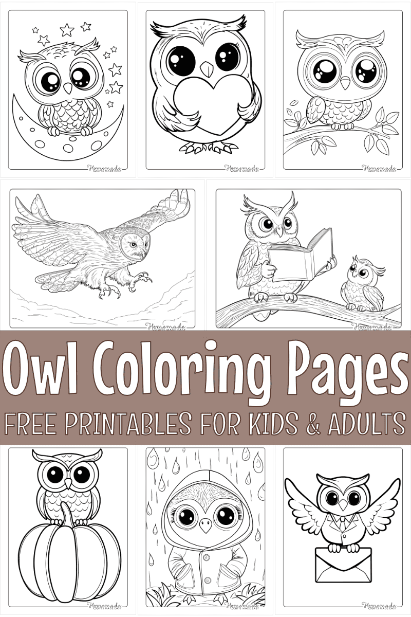 Printable Owl Coloring Pages Free PDF Printable Owl Coloring Pages Free PDF
