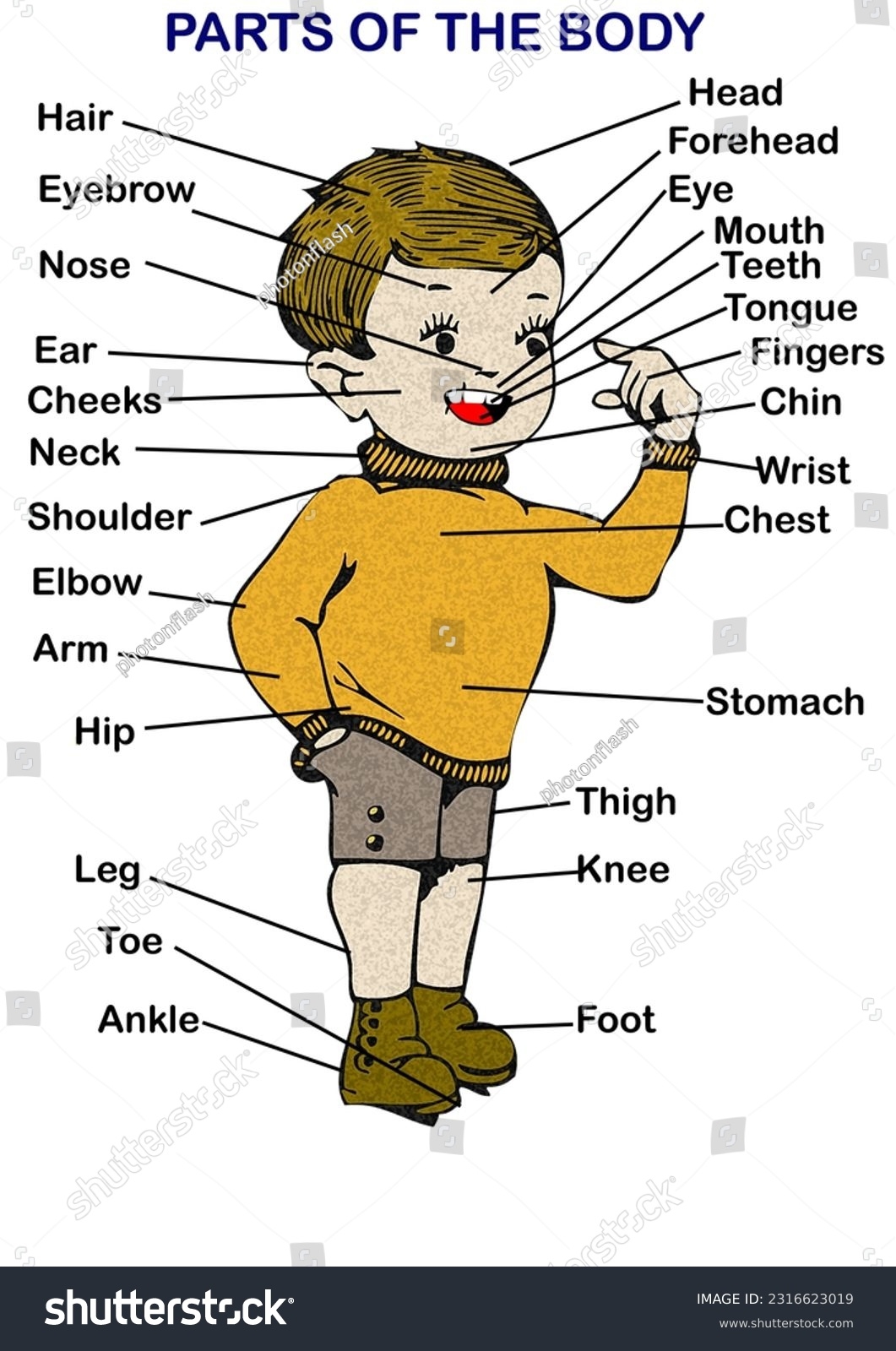 Printable Parts Body Names Chart Kids Stock Illustration 2316623019 Shutterstock Printable Parts Body Names Chart Kids Stock Illustration 2316623019 Shutterstock