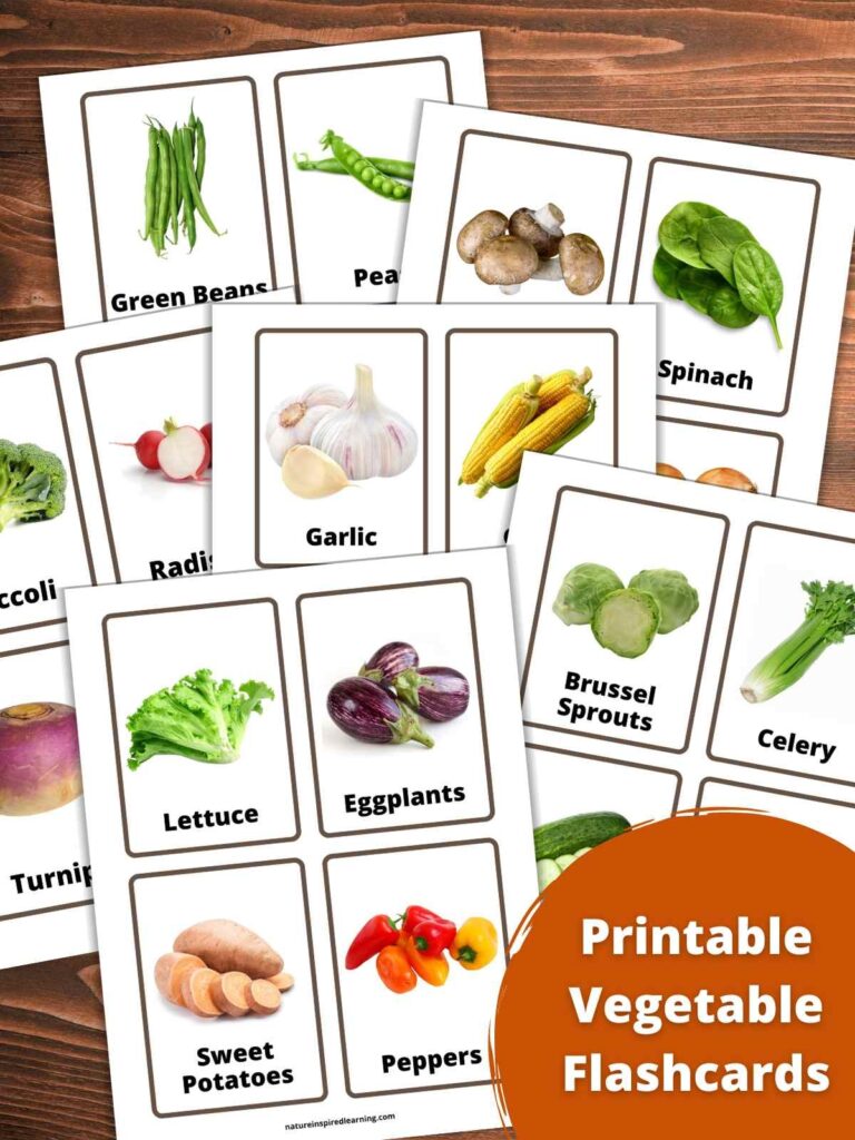 Printable Vegetable Flashcards Nature Inspired Learning