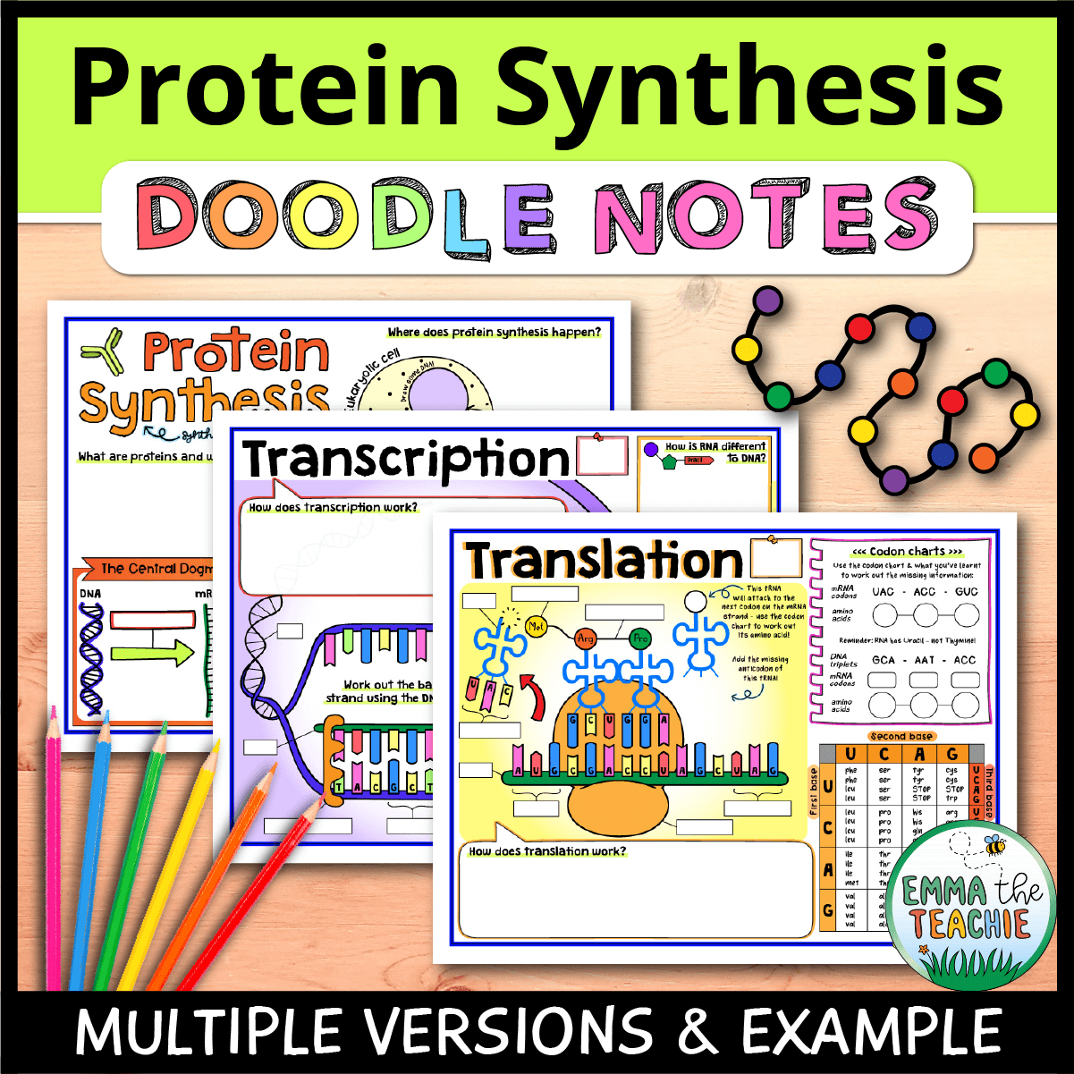 Protein Synthesis Doodle Notes Emmatheteachie Protein Synthesis Doodle Notes Emmatheteachie
