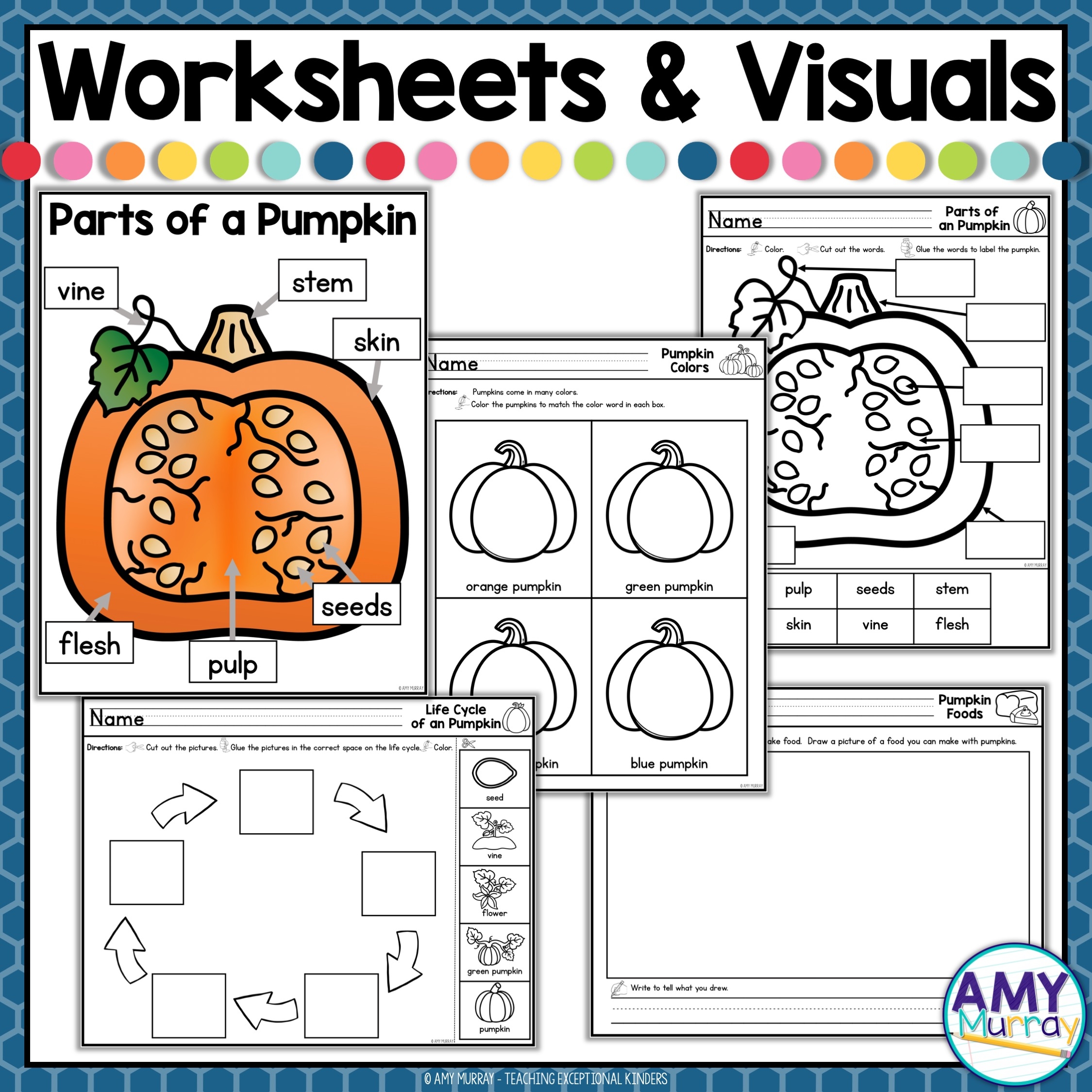 Pumpkin Life Cycle Worksheets And Seesaw Activity Kindergarten Pumpkin Life Cycle Worksheets And Seesaw Activity Kindergarten