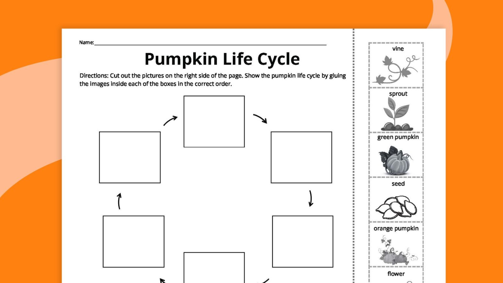 Pumpkin Life Cycle Worksheets For Kids Free Printables Pumpkin Life Cycle Worksheets For Kids Free Printables