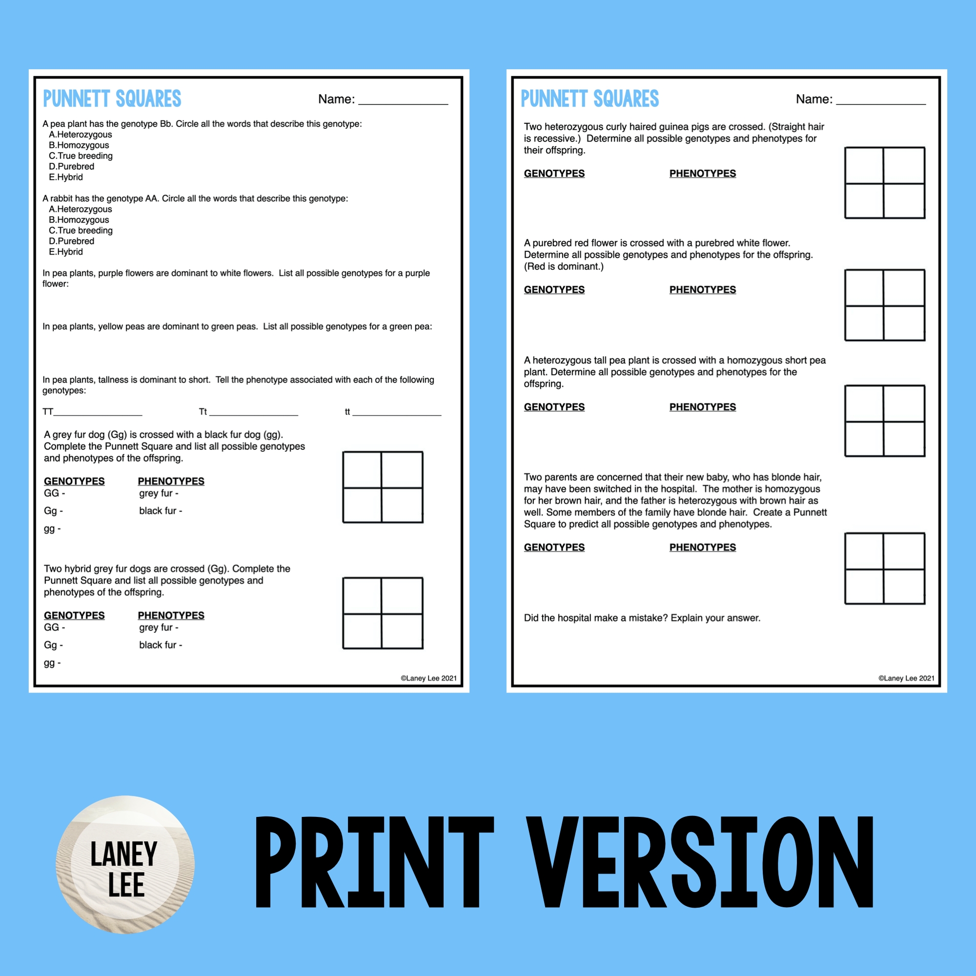 Punnett Square Worksheet Printable Punnett Square Worksheet Printable