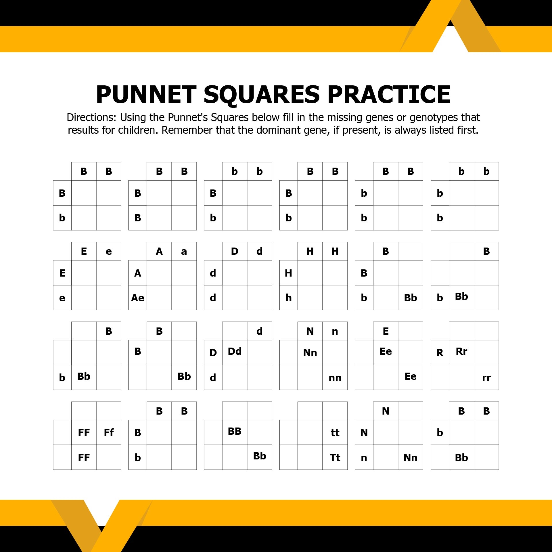 Punnett Square Worksheets 10 Free PDF Printables Printablee Punnett Square Worksheets 10 Free PDF Printables Printablee
