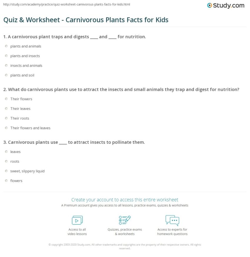 Quiz Worksheet Carnivorous Plants Facts For Kids Study