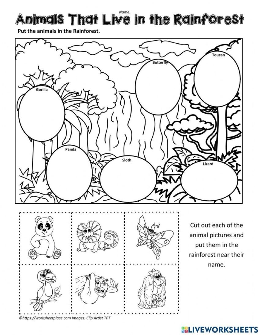 Rainforest Worksheets U0026 Facts For Kids Features Conservation Worksheets Library