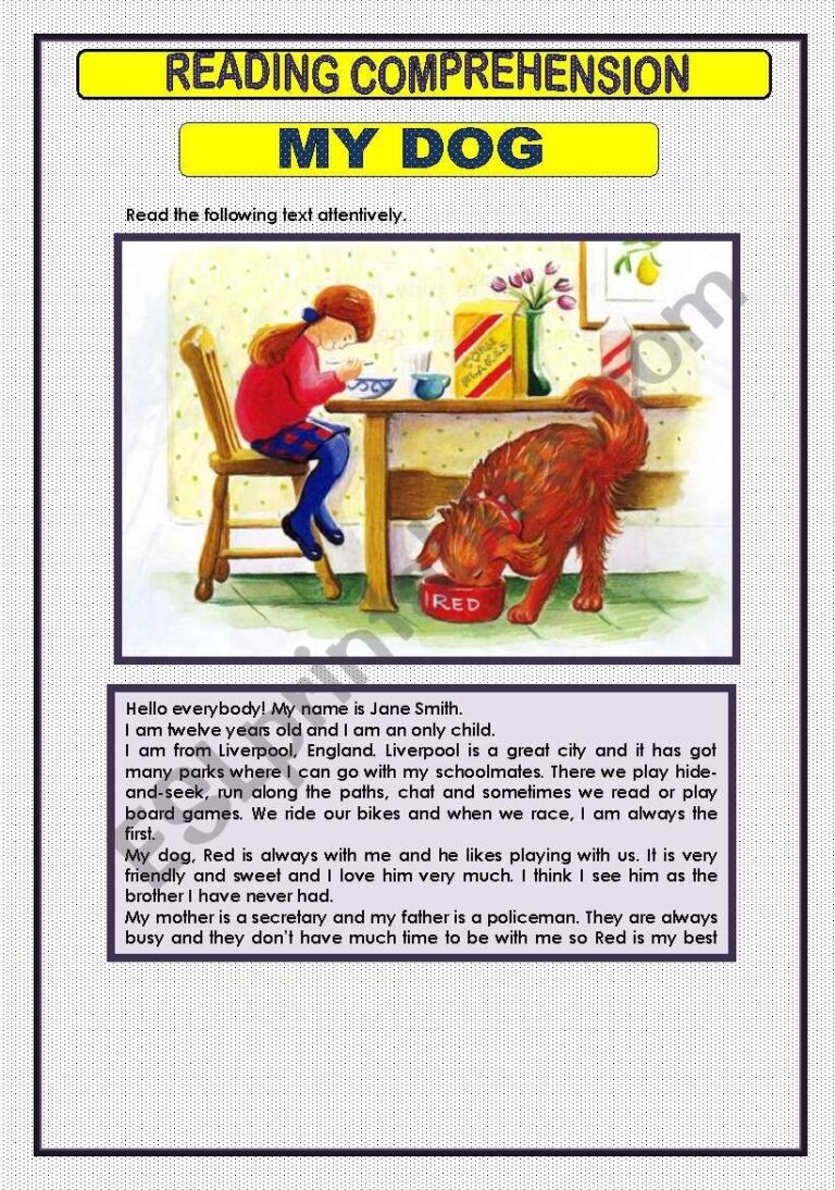 READING COMPREHENSION 