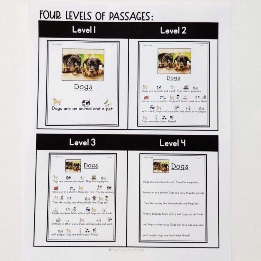 Reading Comprehension Activities In Special Education Teach