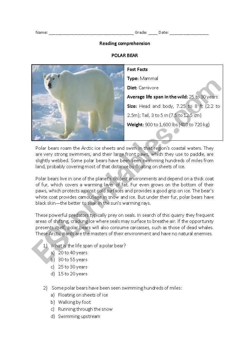 Reading Comprehension Polar Bear ESL Worksheet By MavieBarbosa