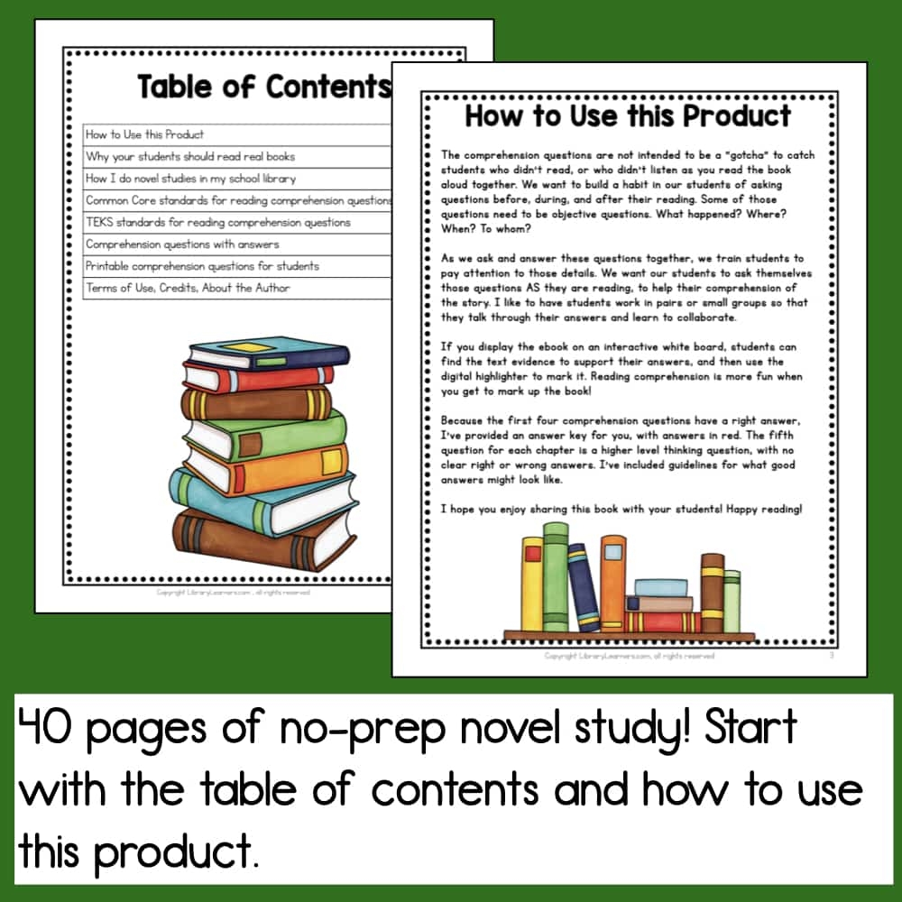 Reading Comprehension Questions Dragons In A Bag