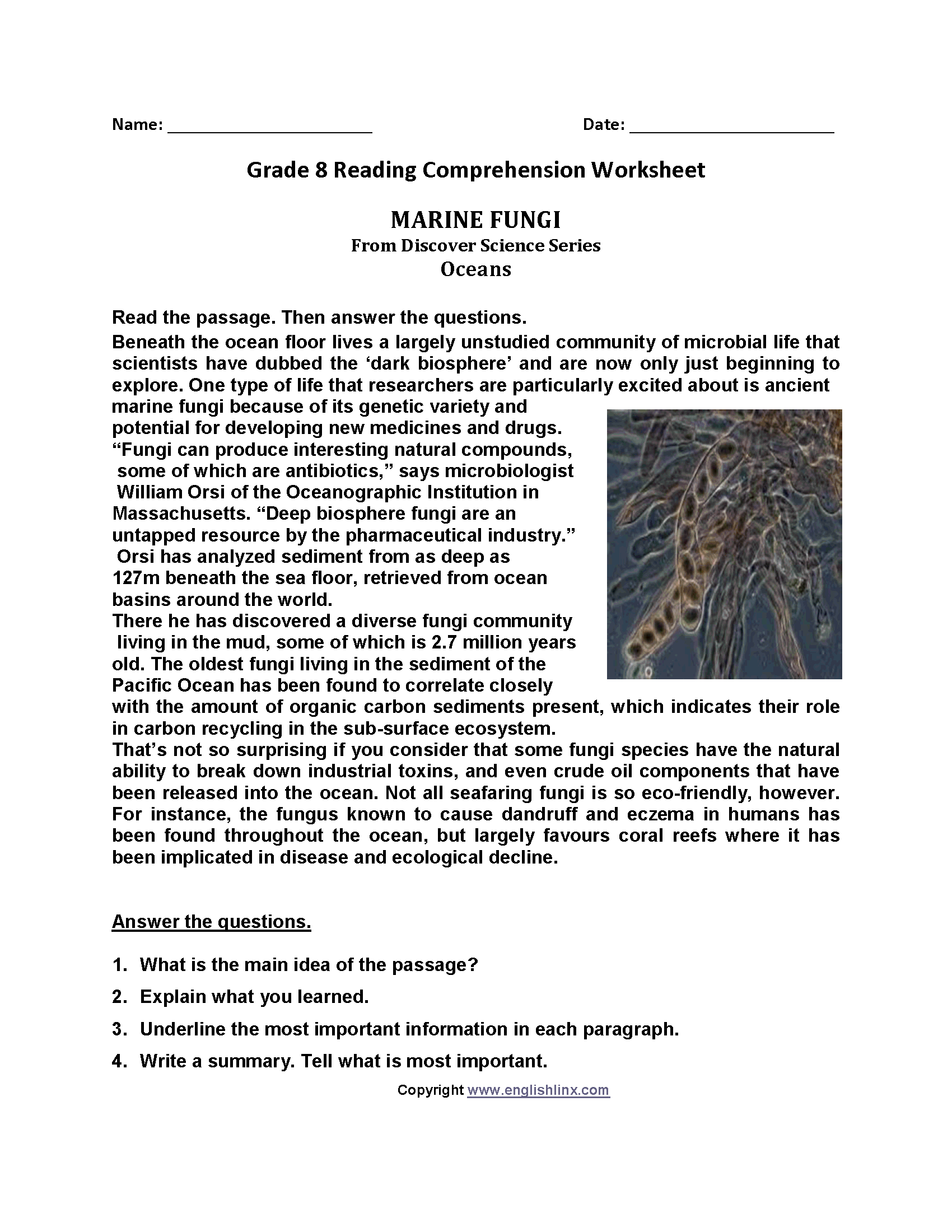 Printable Reading Comprehension Worksheets 8th Grade Printable Reading Comprehension Worksheets 8th Grade