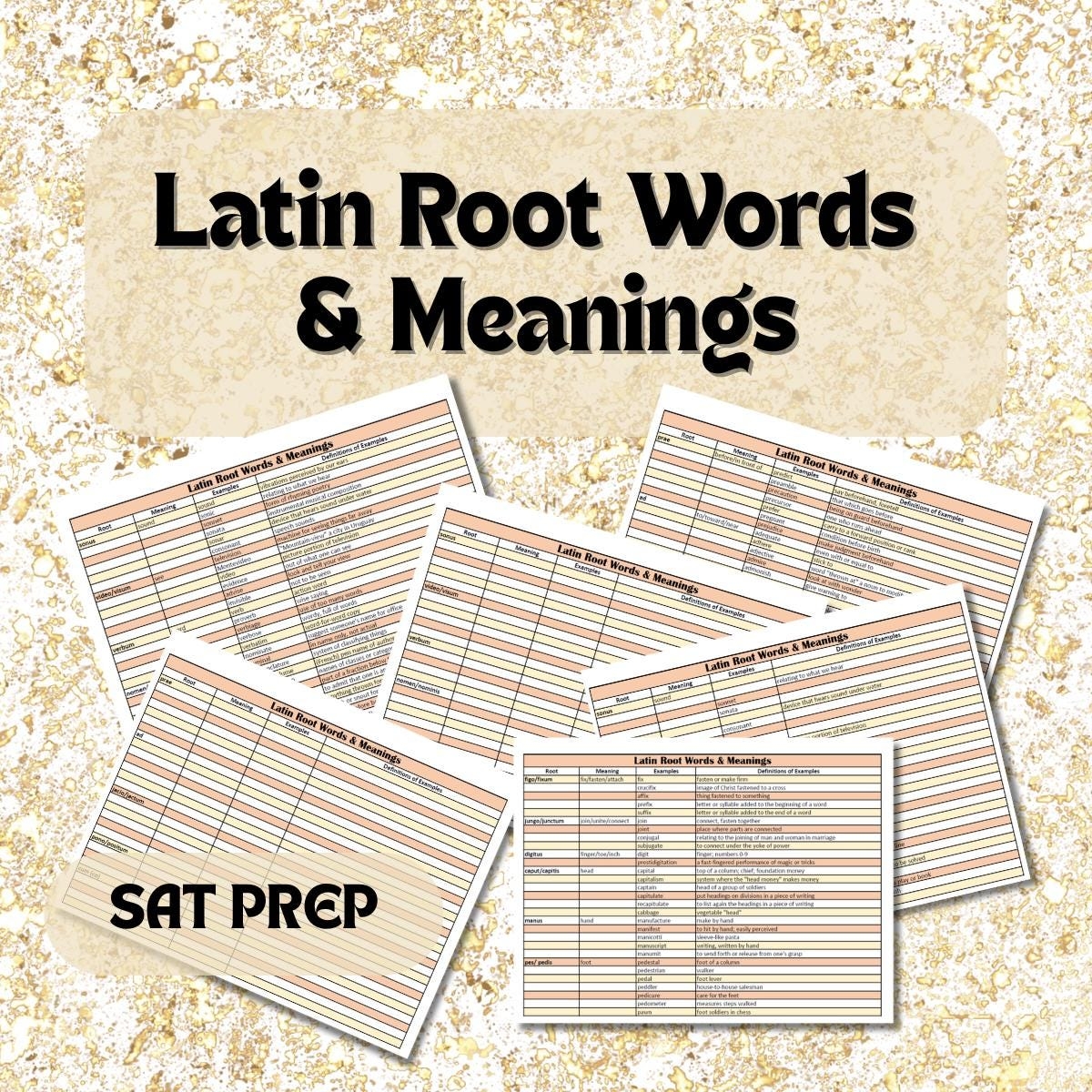 Printable Vocabulary Notebook Root Word Worksheet