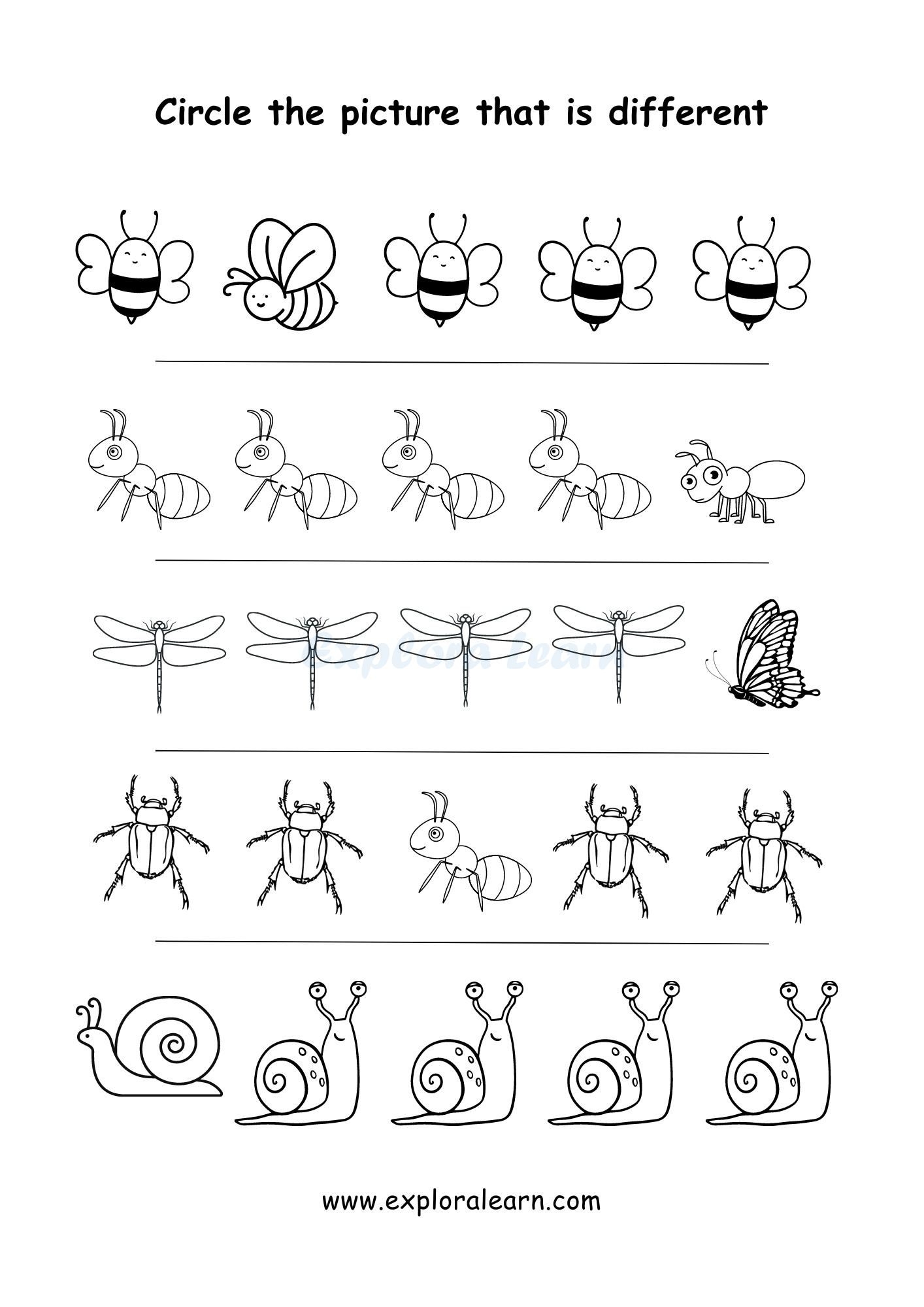 Same And Different Free Preschool Printables