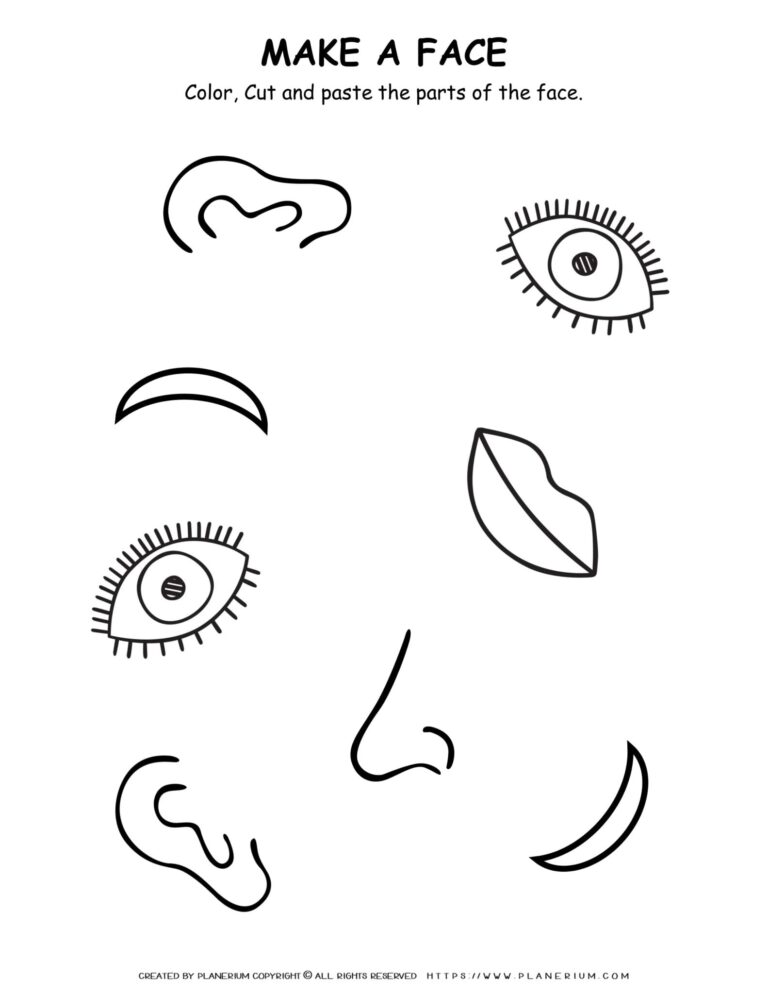 Science Worksheet Face Parts Planerium