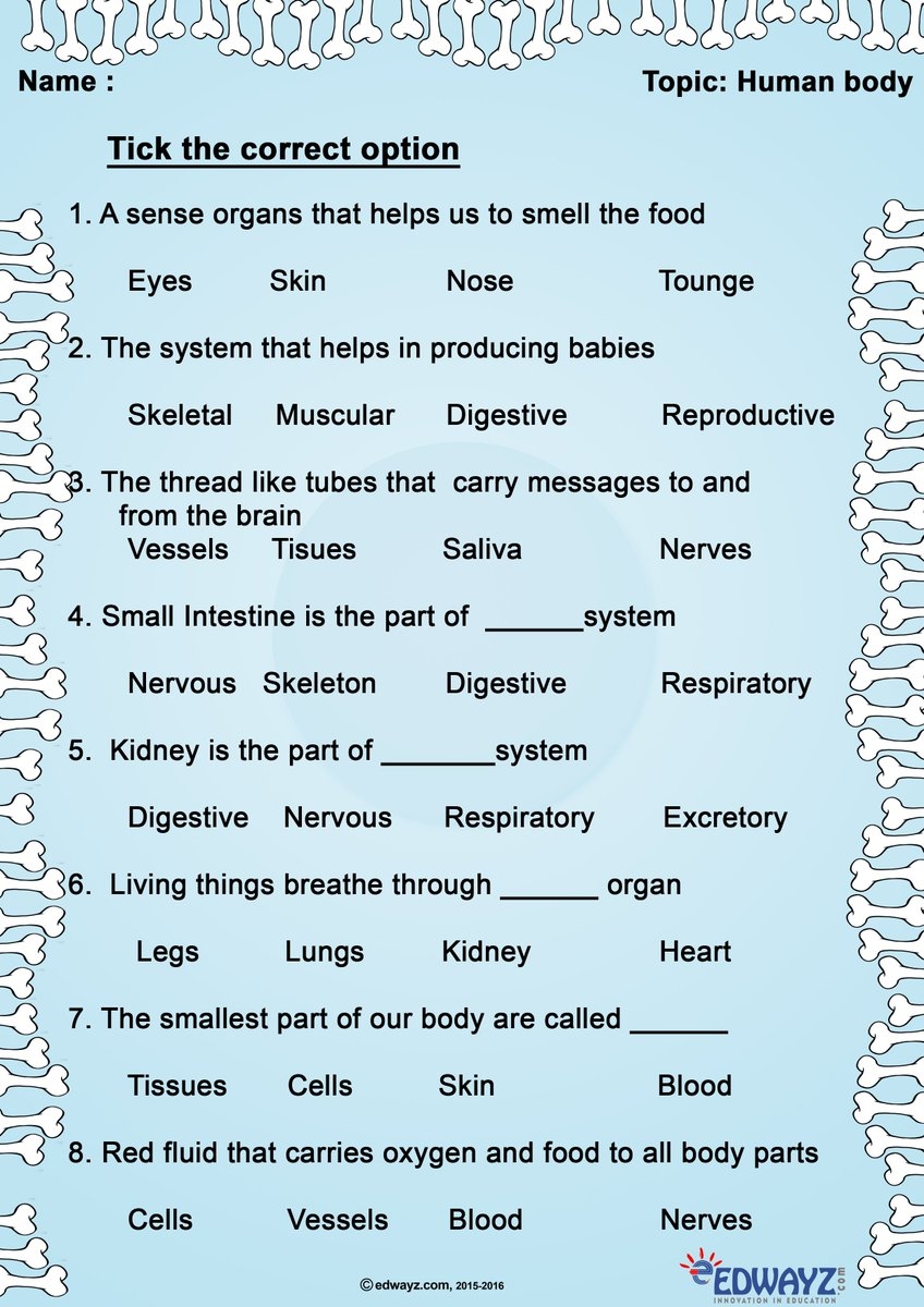 Science Worksheets Class3 Simple Worksheet For Grade3 Kids On Human Body 