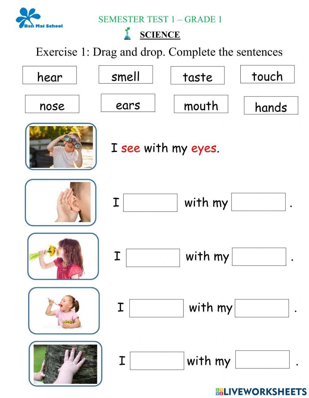 Semester Test 1 Science Grade 1 Worksheet Worksheets Library