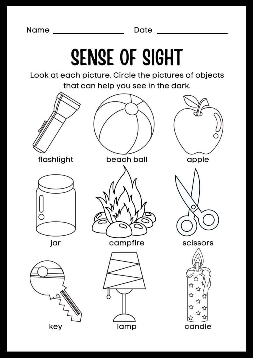 Sense Of Sight Worksheet For Kids By Kulayanj Raket PH