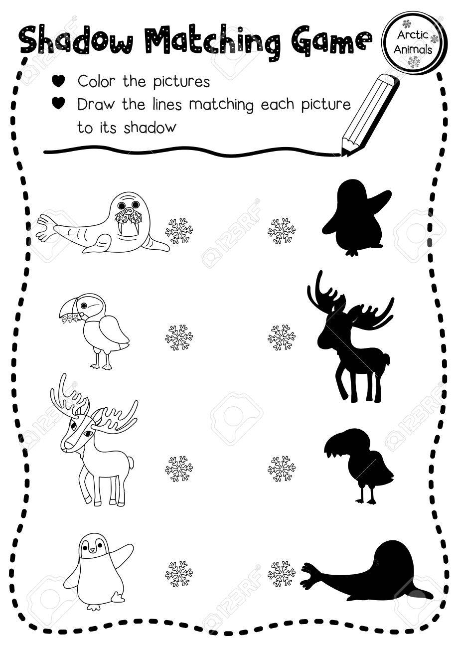 Shadow Matching Game Of Arctic Animals For Preschool Kids Activity Worksheet Layout In A4 Coloring Printable Version Vector Illustration Royalty Free SVG Cliparts Vectors And Stock Illustration Image 86424511 