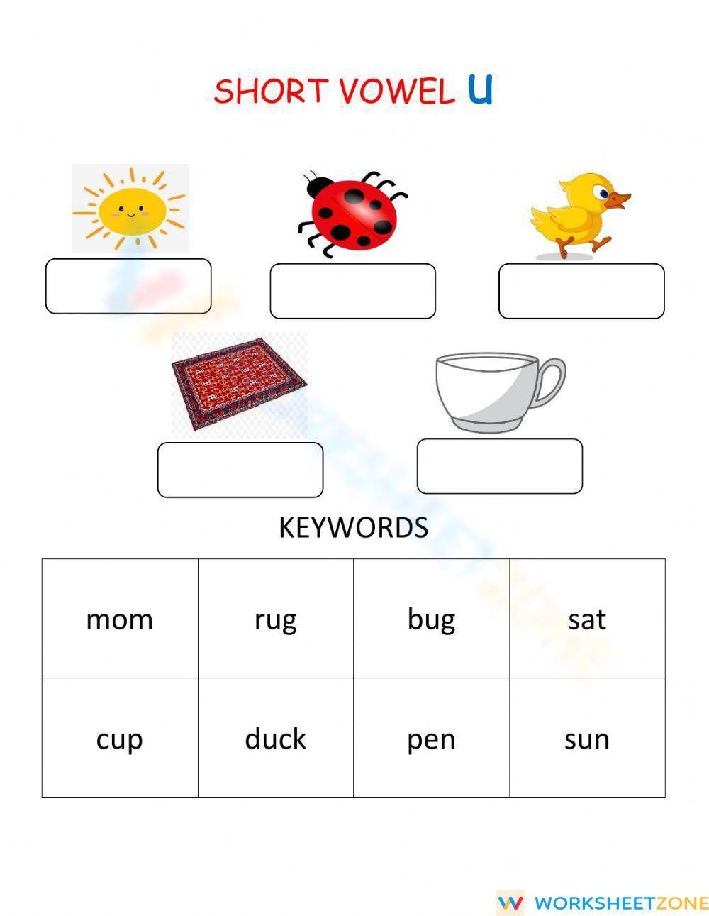 Short Vowel Sound u Exercises Worksheet