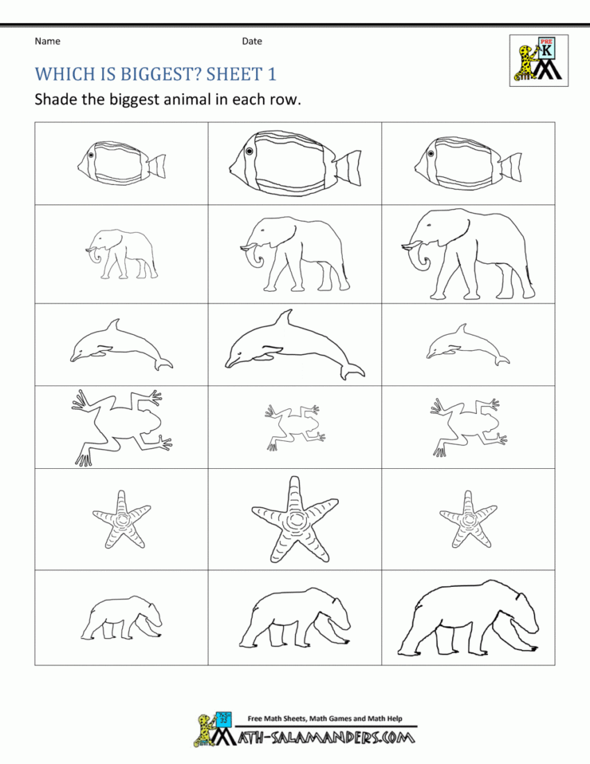 Size Worksheets Bigger Smaller Or The Same Size