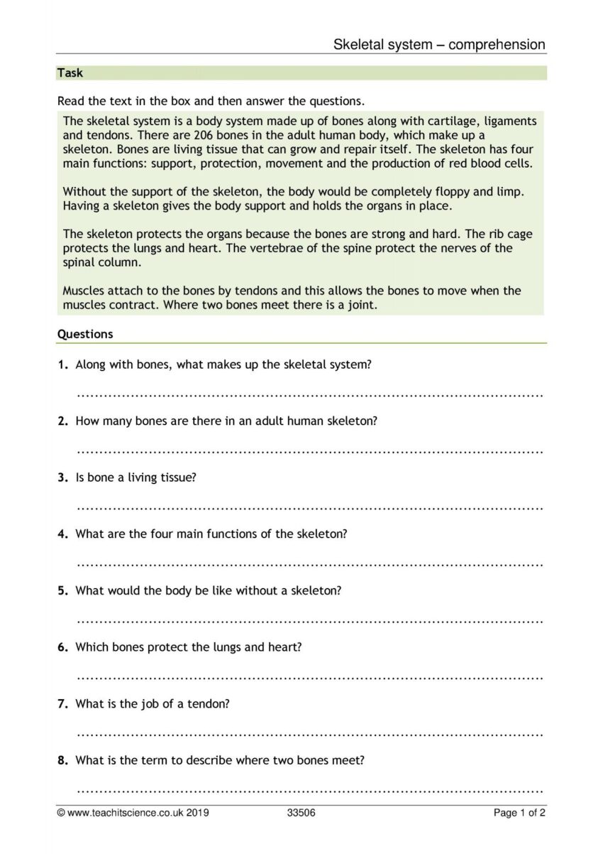 Skeletal System Comprehension KS3 Biology Teachit