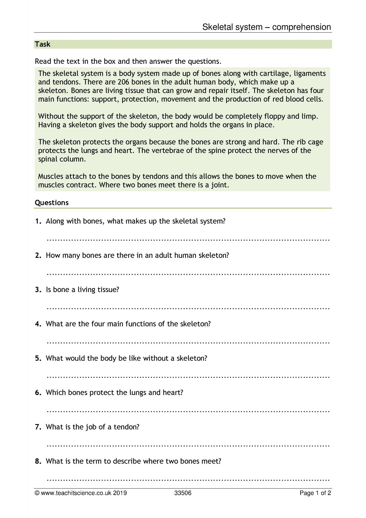 Skeletal System Comprehension KS3 Biology Teachit Skeletal System Comprehension KS3 Biology Teachit