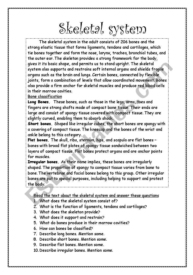 Skeletal System ESL Worksheet By Cecilia Isabella Skeletal System ESL Worksheet By Cecilia Isabella