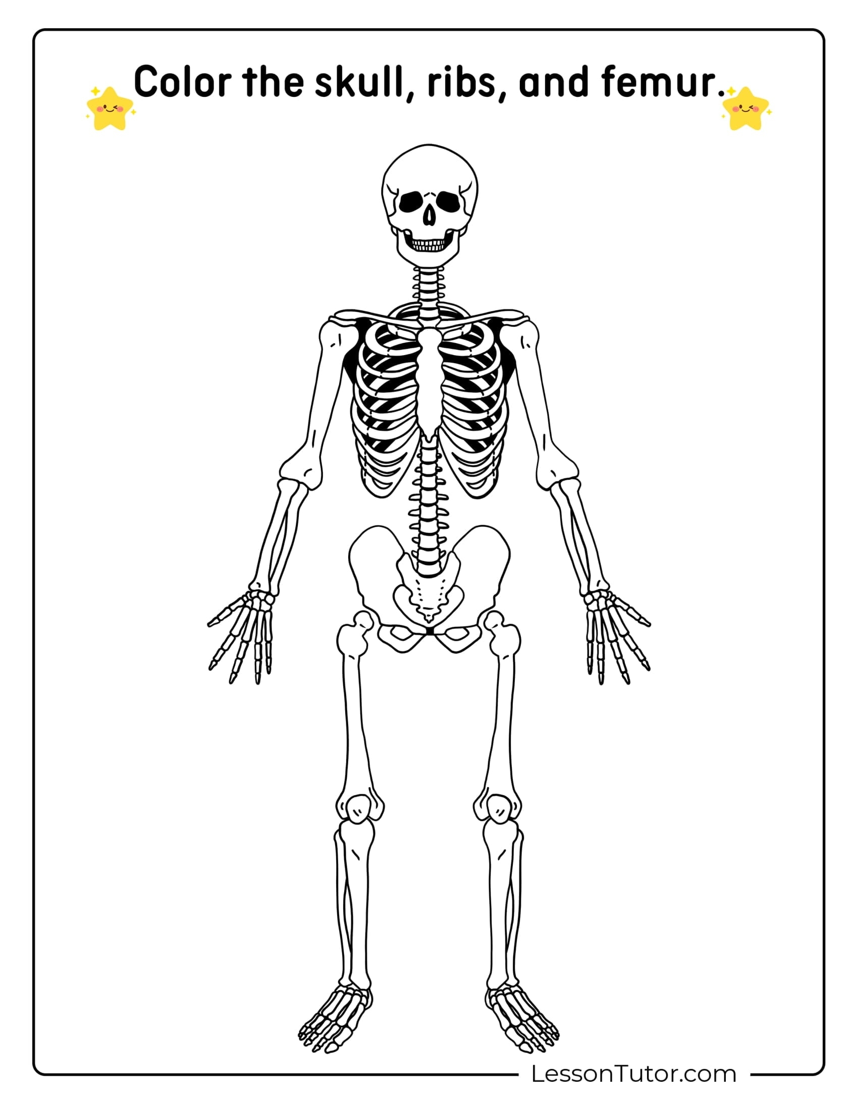 Skeleton System Worksheets Free Coloring Pages PDF Printables And Worksheets Lesson Tutor Skeleton System Worksheets Free Coloring Pages PDF Printables And Worksheets Lesson Tutor