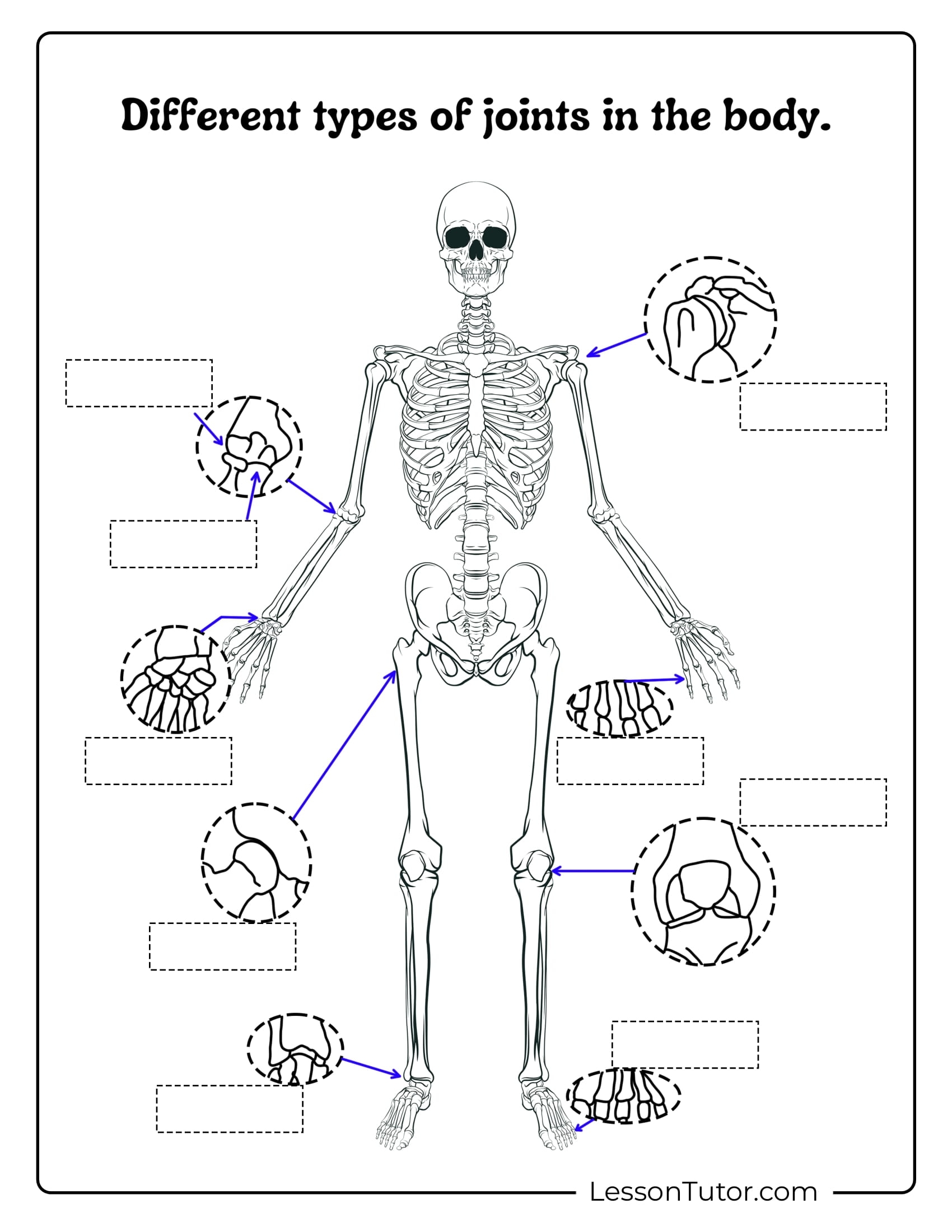 Skeleton System Worksheets Free Coloring Pages PDF Printables And Worksheets Lesson Tutor Skeleton System Worksheets Free Coloring Pages PDF Printables And Worksheets Lesson Tutor