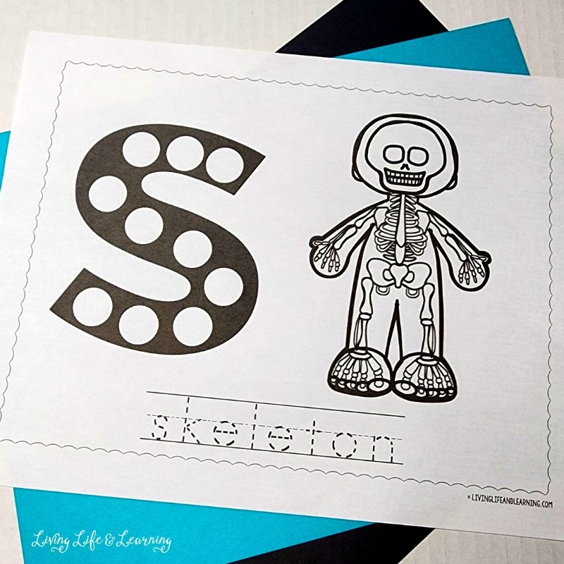 Skeleton Worksheet For Kindergarten Skeleton Worksheet For Kindergarten