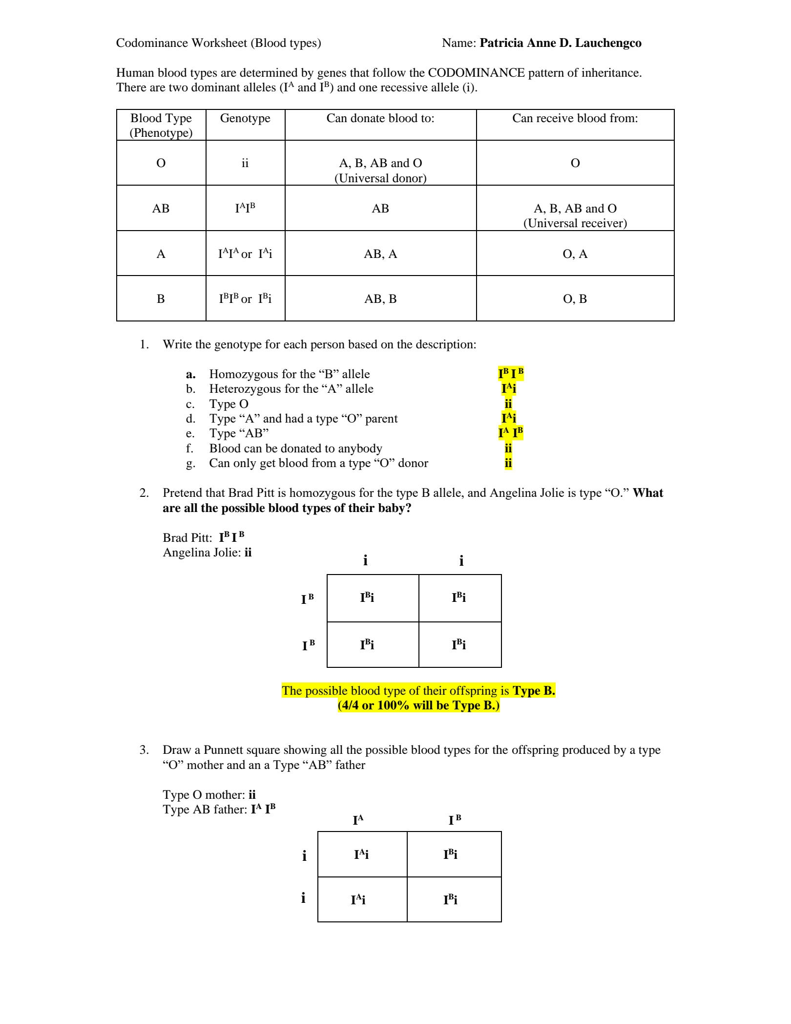 SOLUTION Codominance Blood Types Worksheet Studypool Worksheets Library