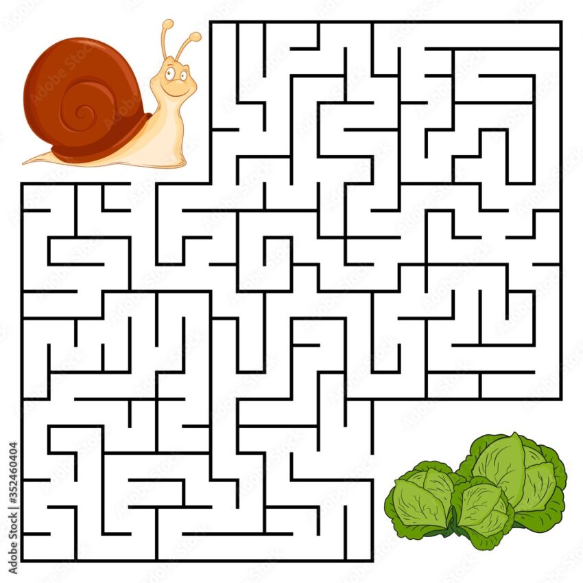 Square Maze For Kids With Cartoon Snail Find Right Way To The