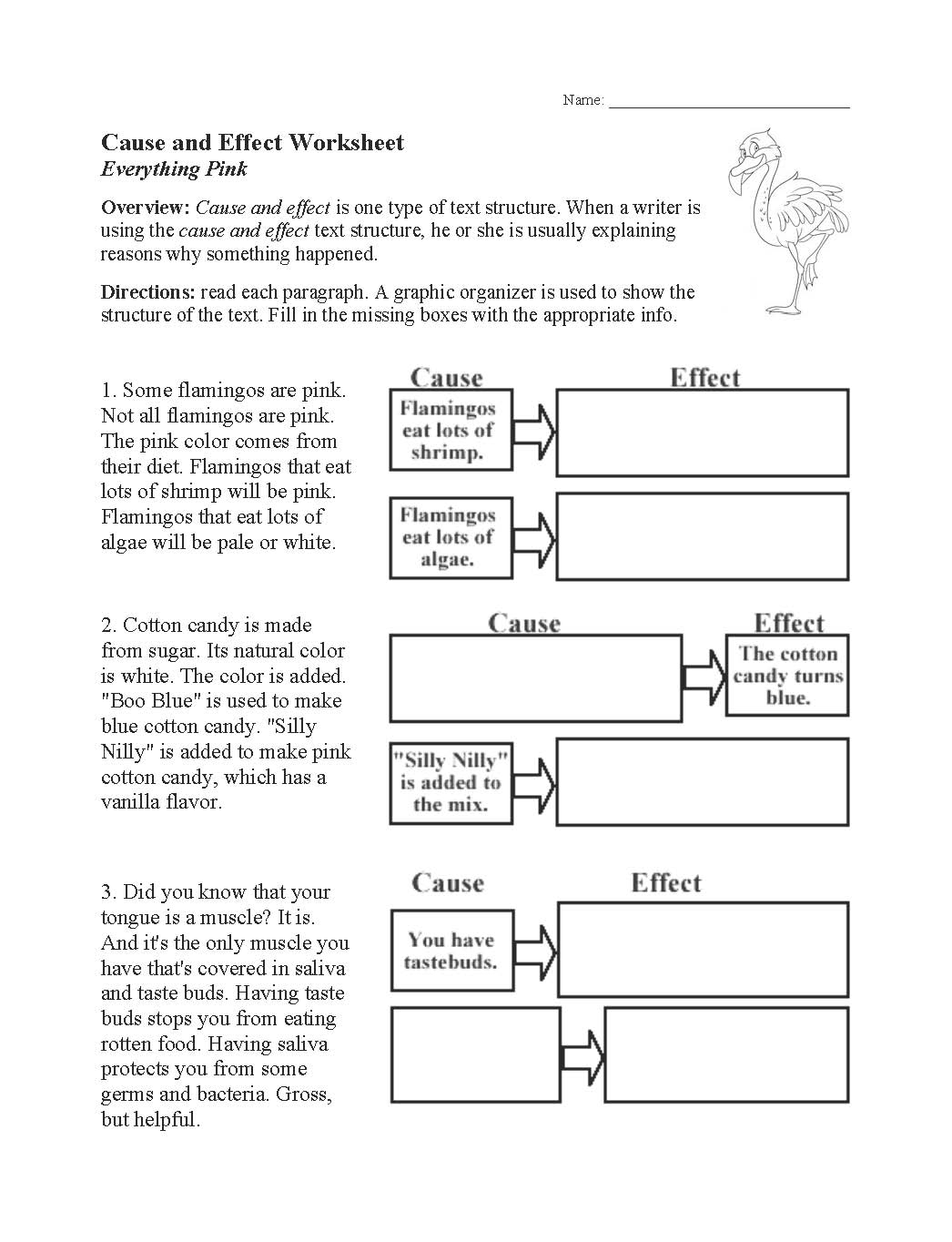 Text Structure Worksheets Free For Primary Grades Text Structure Worksheets Free For Primary Grades