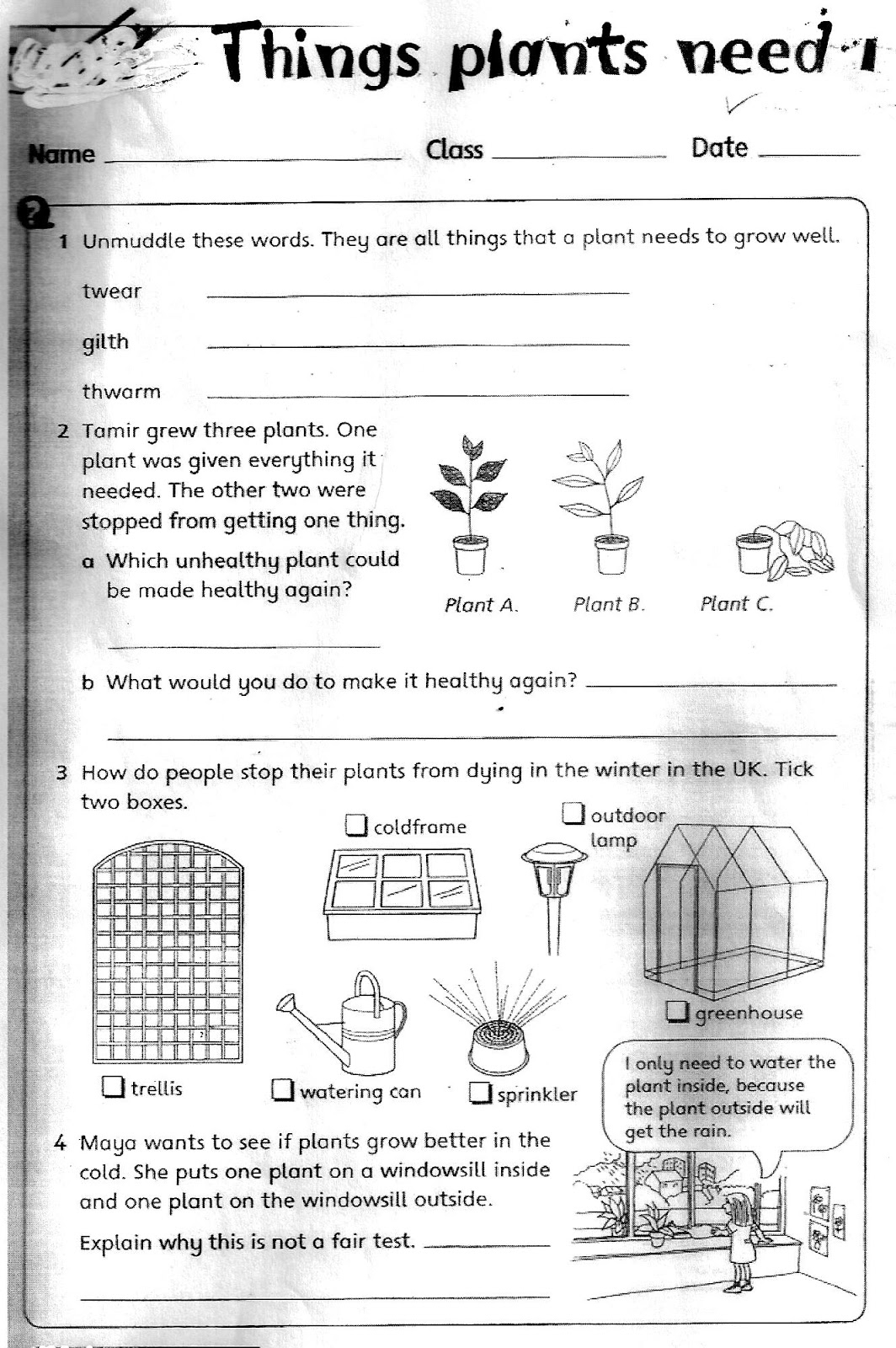 Grade 3 Science Printable Worksheets
