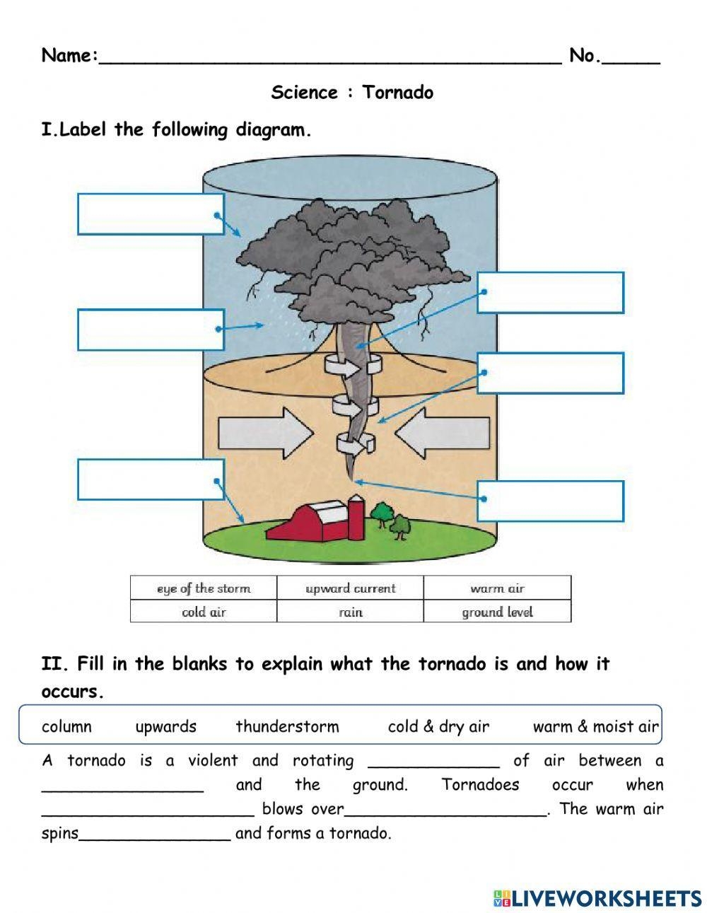 Tornado In A Glass Science Activity K5 Learning Worksheets Library Tornado In A Glass Science Activity K5 Learning Worksheets Library