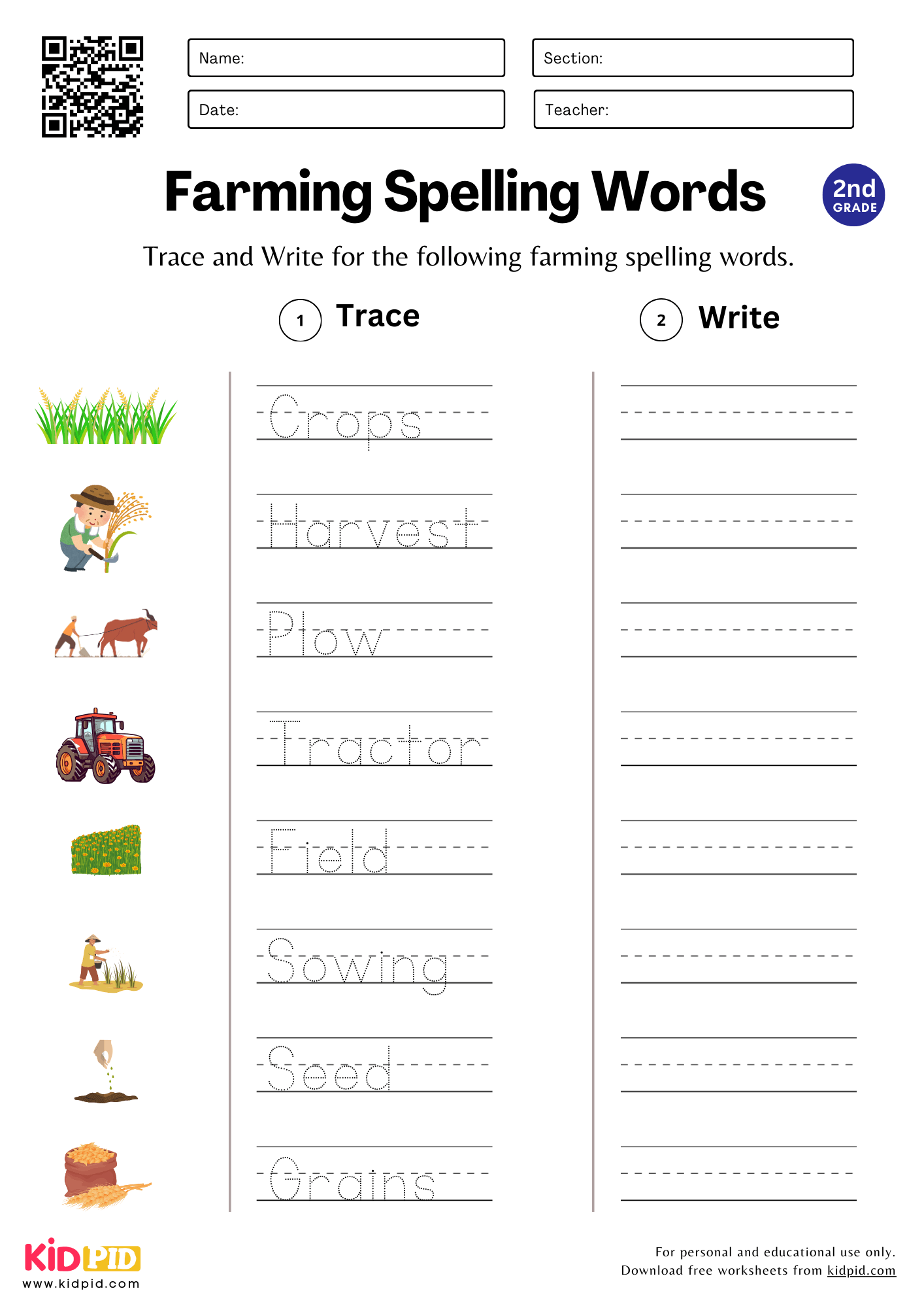 Free Printable 2nd Grade Spelling Worksheets Free Printable 2nd Grade Spelling Worksheets
